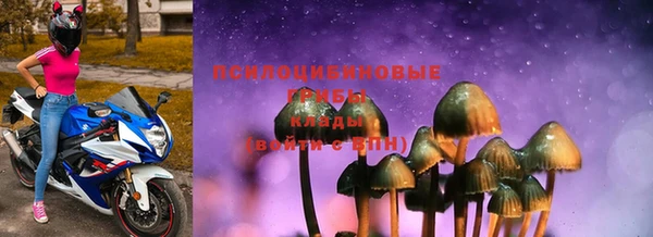 PSILOCYBIN Вяземский