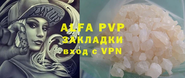 PSILOCYBIN Вяземский