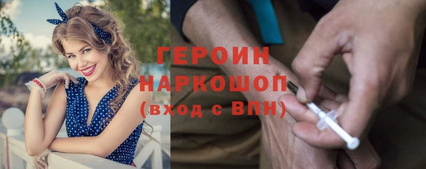 PSILOCYBIN Вяземский