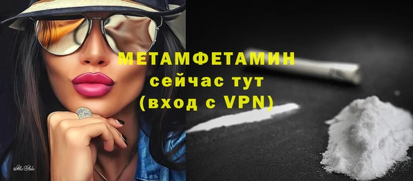 PSILOCYBIN Вяземский