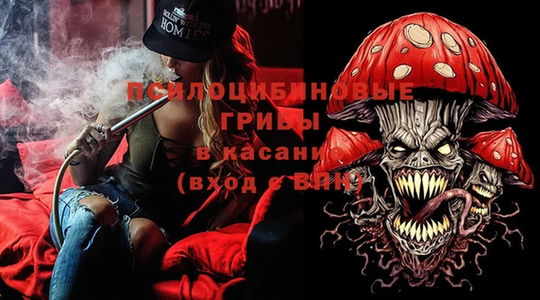 apvp Вязьма