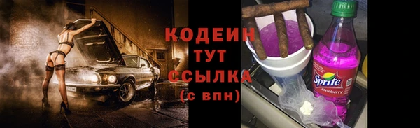 PSILOCYBIN Вяземский