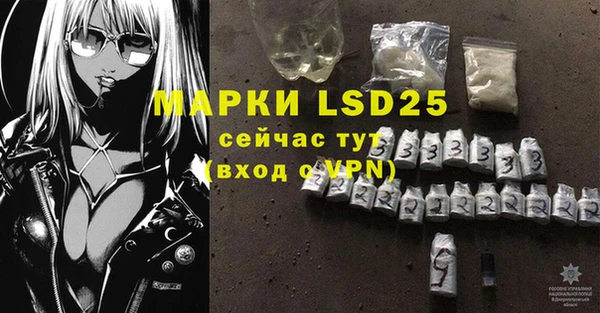 PSILOCYBIN Вяземский