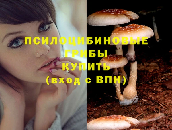 ALPHA PVP Вязники