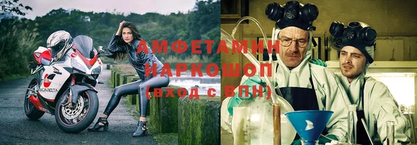 PSILOCYBIN Вяземский
