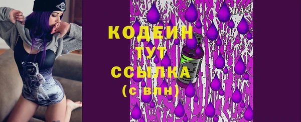 PSILOCYBIN Вяземский