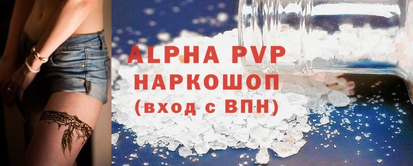 PSILOCYBIN Вяземский