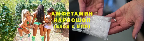 PSILOCYBIN Вяземский