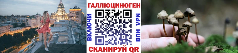 Псилоцибиновые грибы GOLDEN TEACHER  нарко площадка какой сайт  Гусиноозёрск 